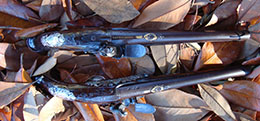 Click to Enlarge Image
