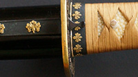 Click to Enlarge Image